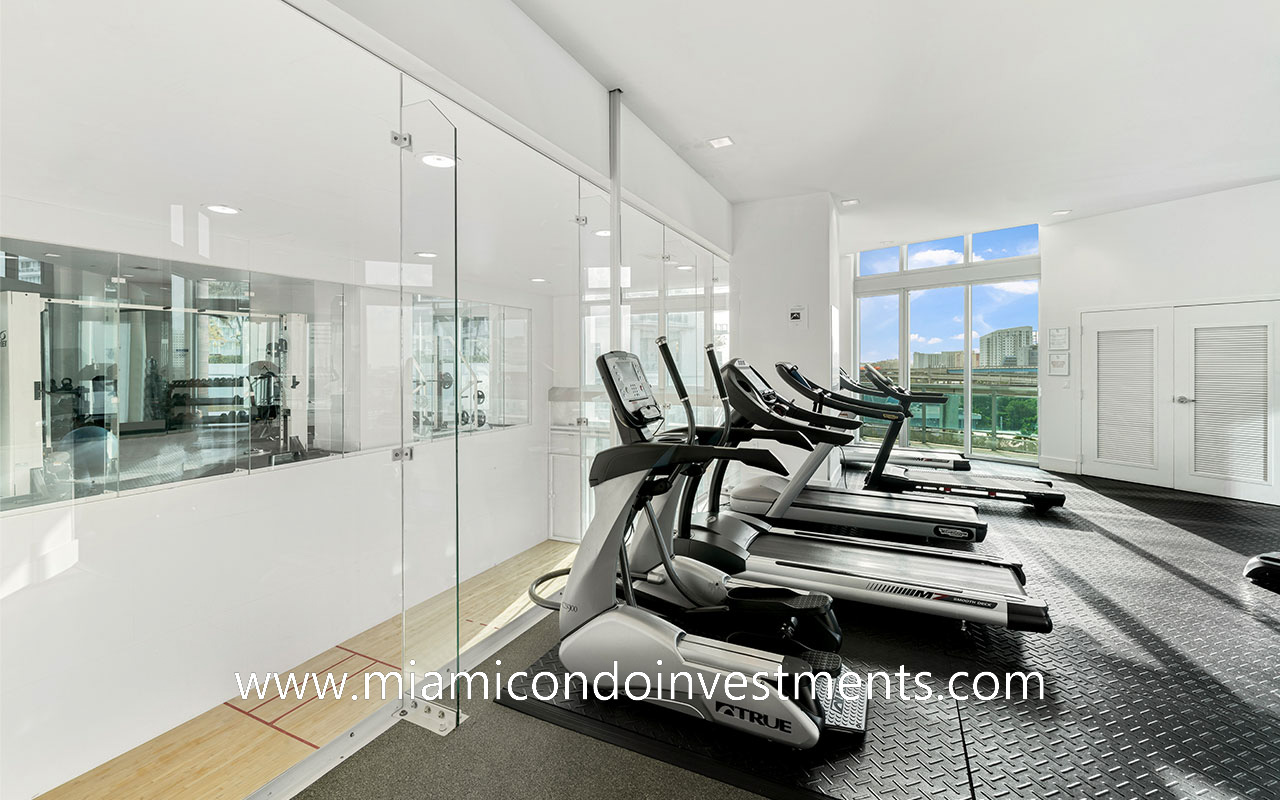 cardio machines in the Wind condominium gym