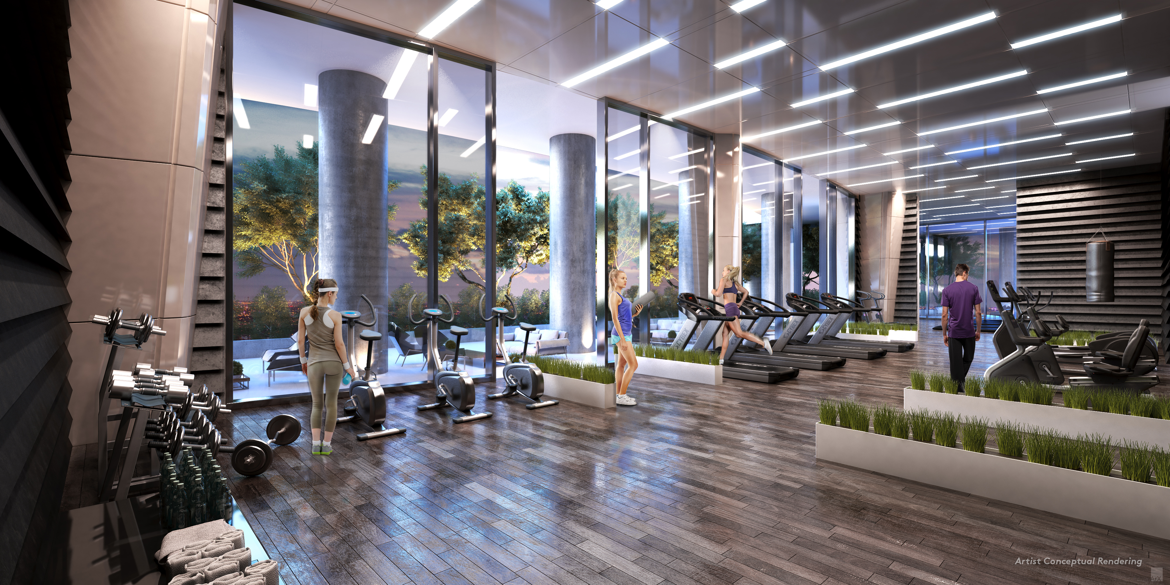 Canvas Gym CANVAS Gym