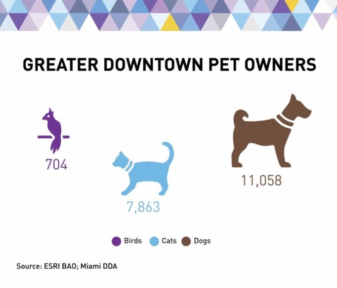 Downtown Miami Pets