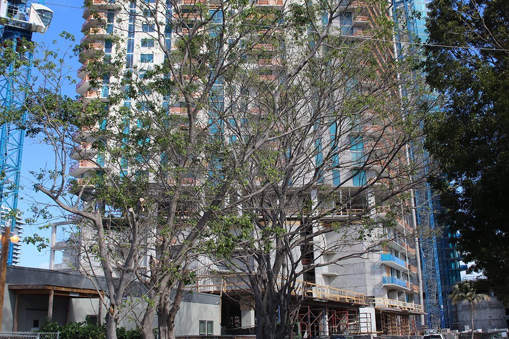 Paraiso Bayviews West - Miami Condos For Sale & Rent Paraiso Bayviews West