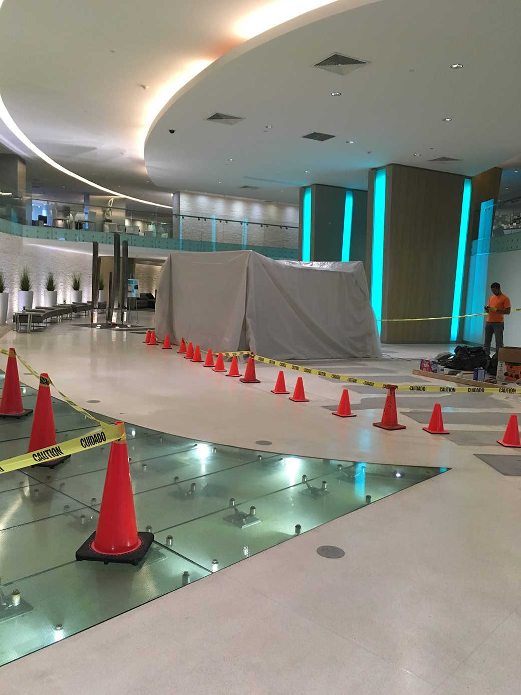 Mint Lobby Construction