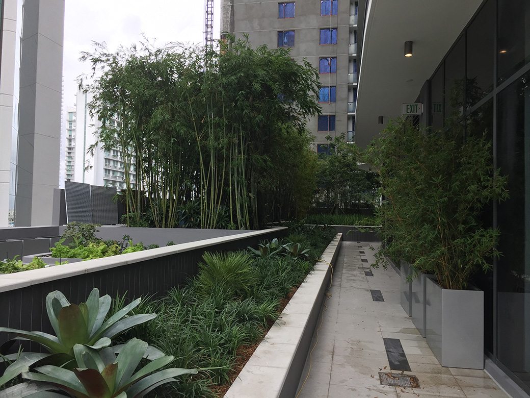 Brickell Heights Amenities Garden