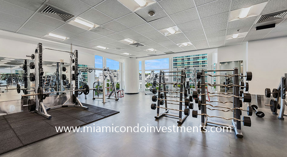 free weights at Flamingo South Beach gym