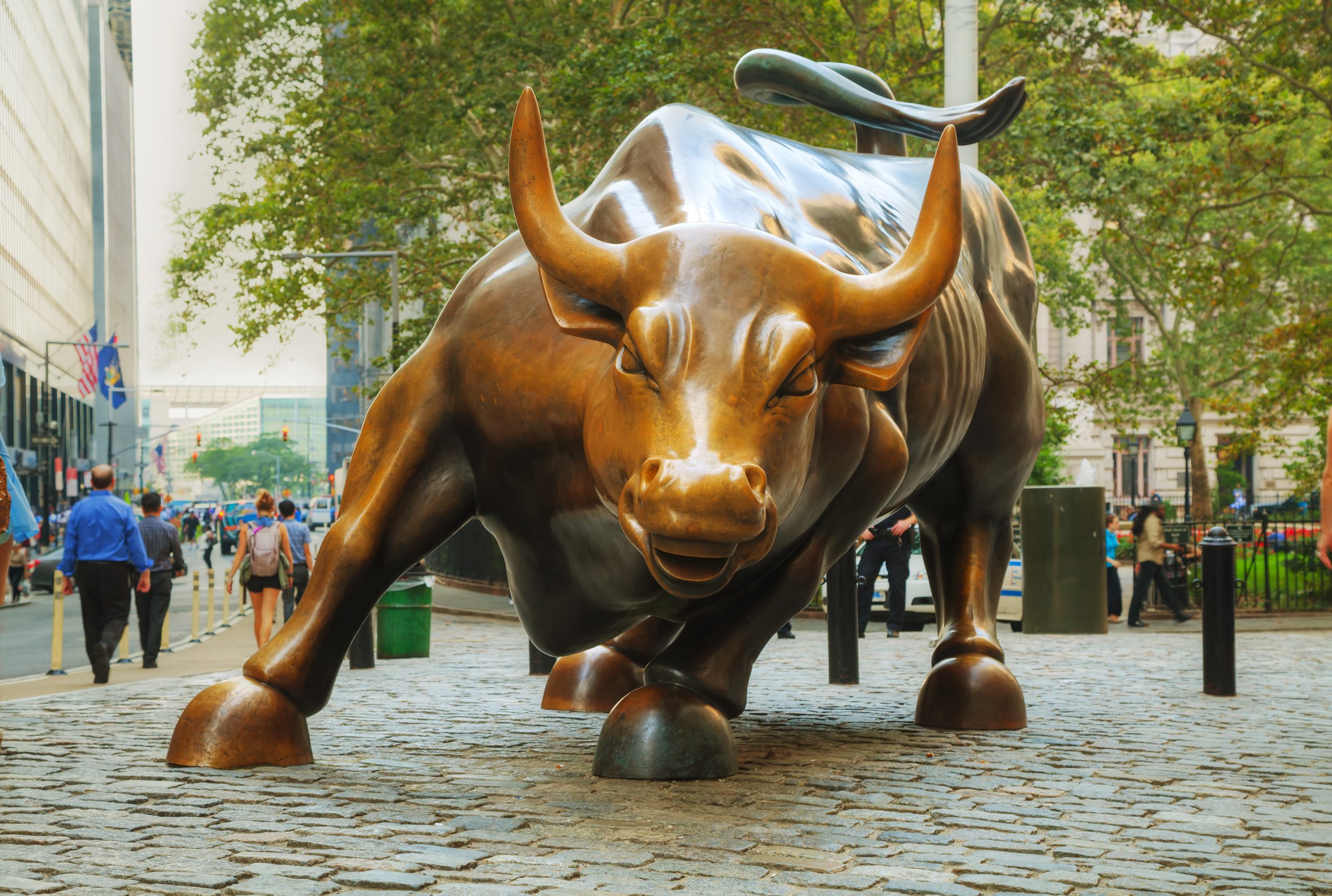 The Charging Bull bronze statue in the Financial District of Manhattan.