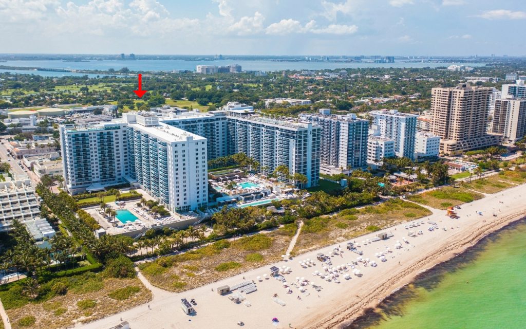 Roney Palace Miami Skyline