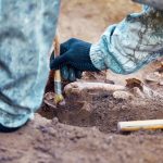 Related Group Finds 7000 Year Old Objects at New Construction Site