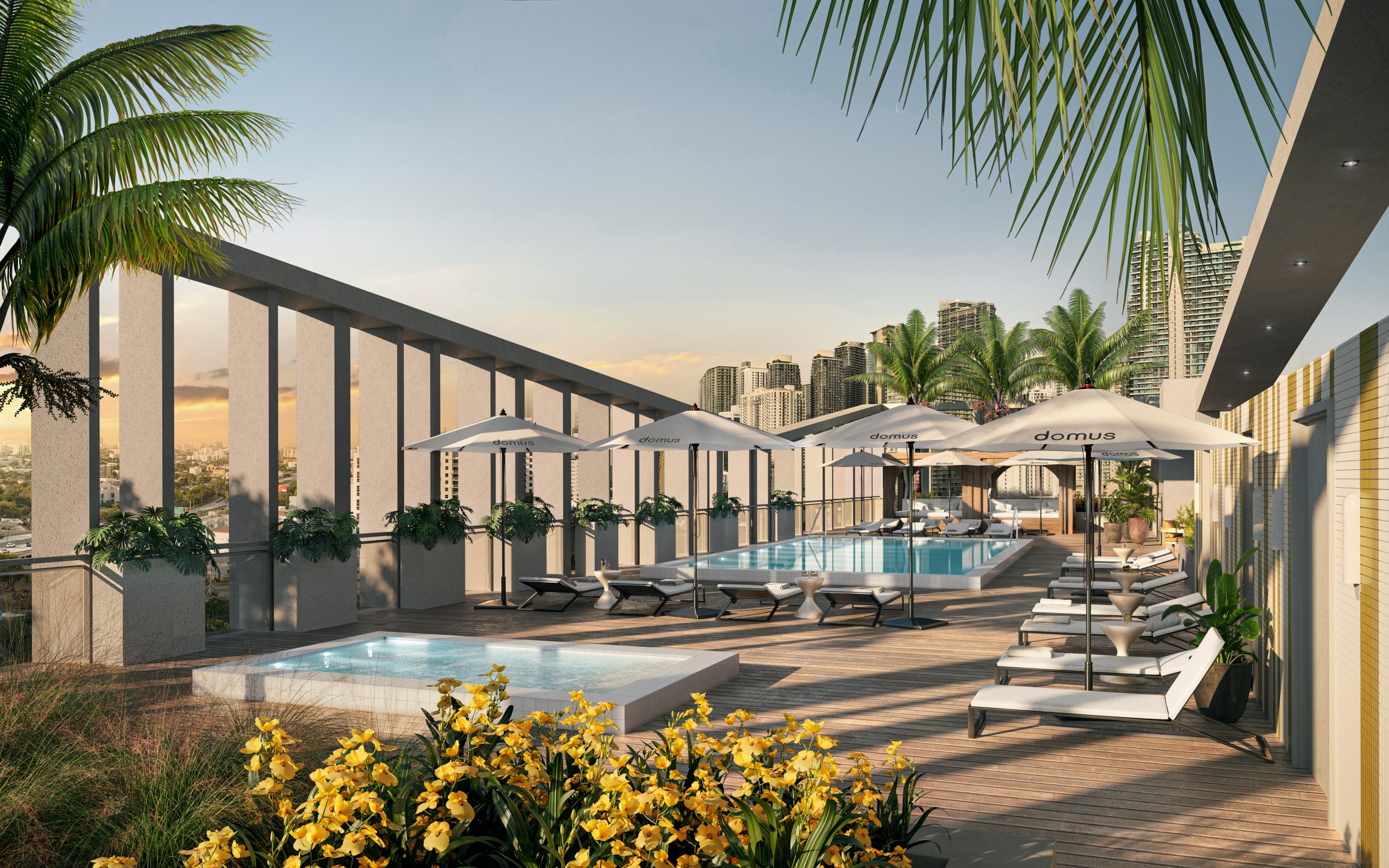 Domus Brickell Park Rooftop Pool Domus Brickell Park Rooftop Pool