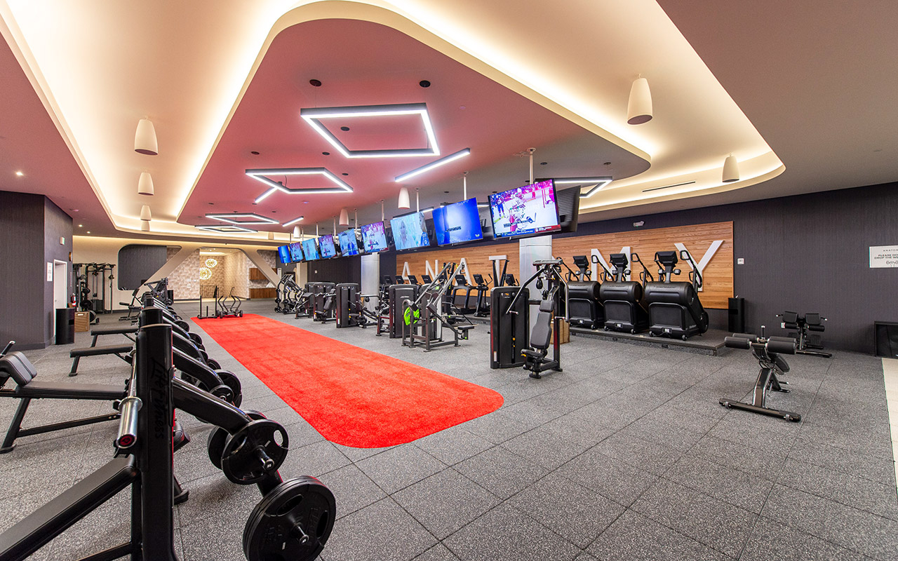 Anatomy Aventura weights and cardio